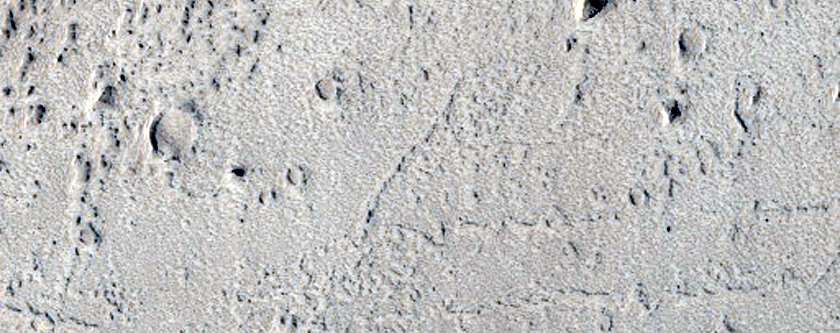 Young Outflow in Echus Chasma