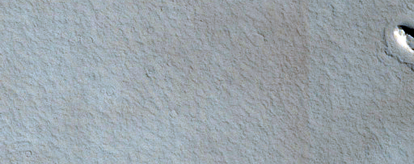 Rootless Cones in Amazonis Planitia
