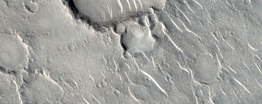 Sample in Isidis Planitia