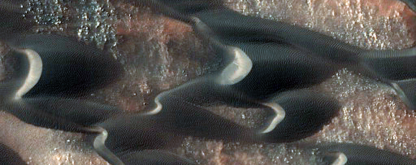 Dune Survey