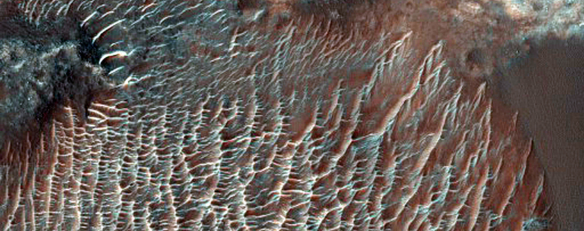 Dune Field