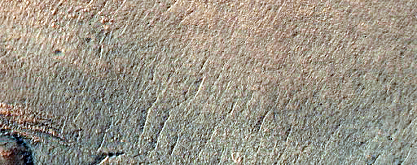 Gully Monitoring