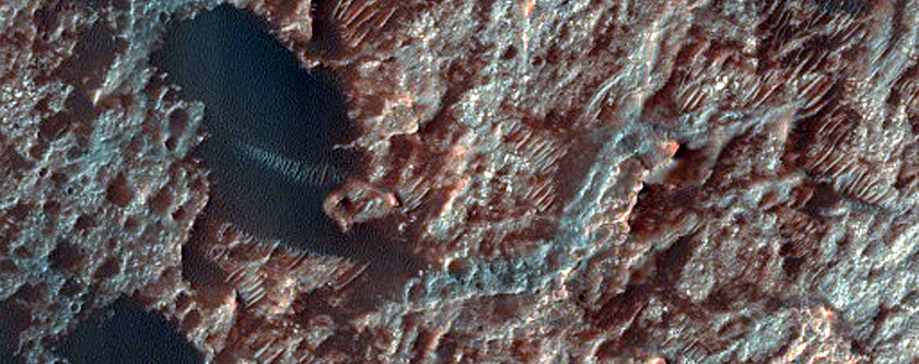 Dune Field