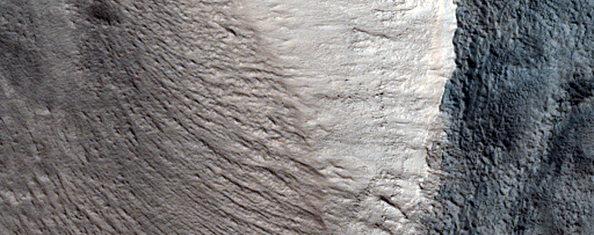 Irregular Cellular Structures around Crater in Arabia Terra