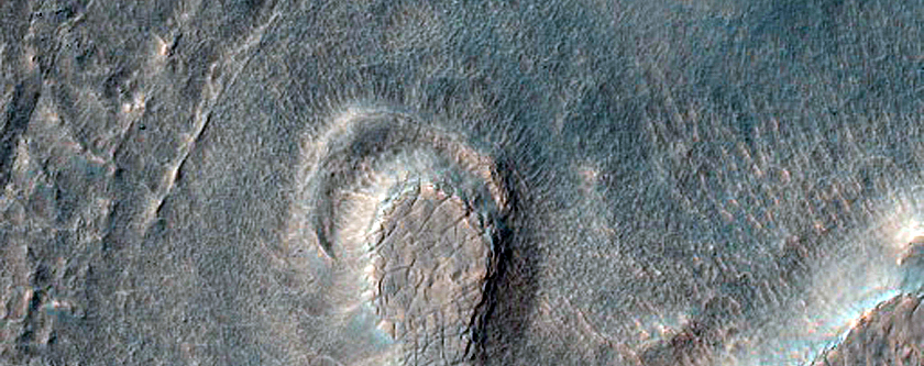 Irregular Cellular Structures around Crater in Southern Mid-Latitudes