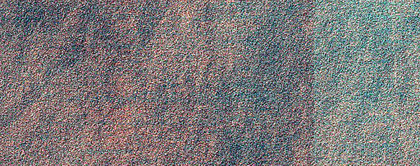 Dune Survey