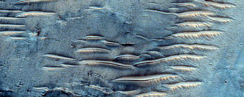 Dune Field