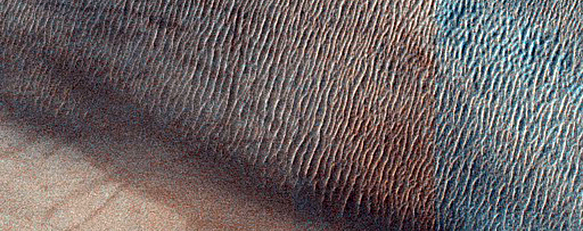 Dune Field