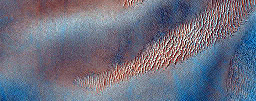 Dune Field