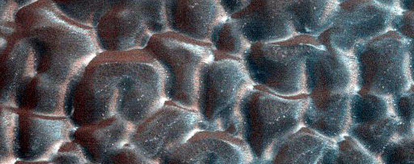 Dune Monitoring in Crater