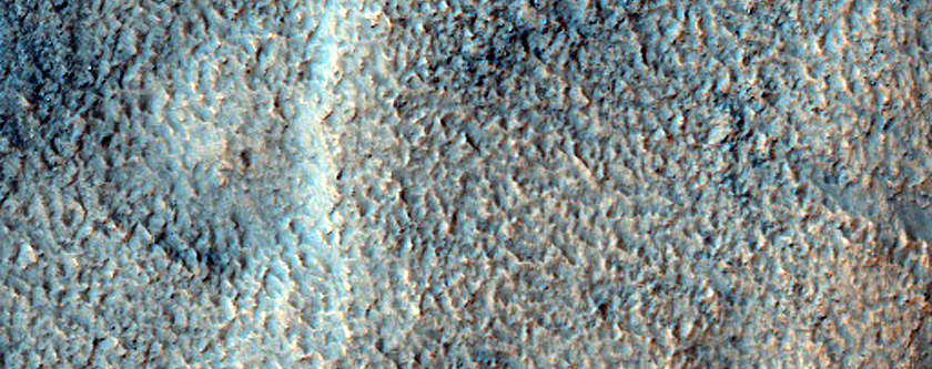 Channels on Rim of Newton Crater