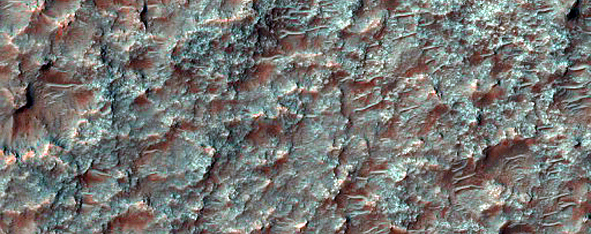 Dune Field