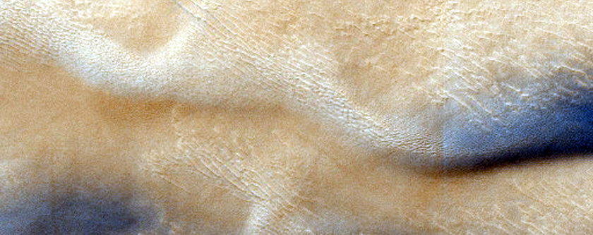 Dune Field