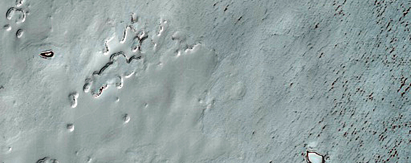 South Polar Residual Cap Margin