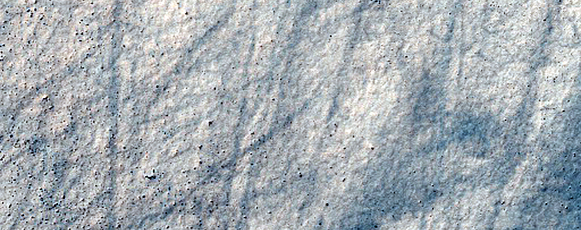 Dust Devils Monitoring in High Latitudes