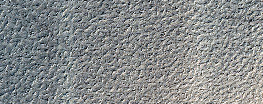 Dune Field