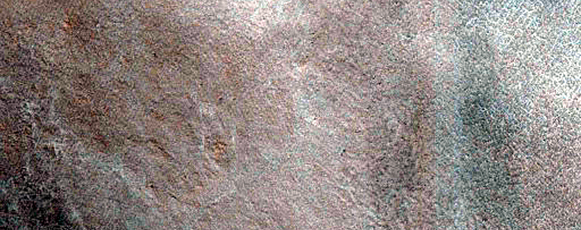 Dune Field