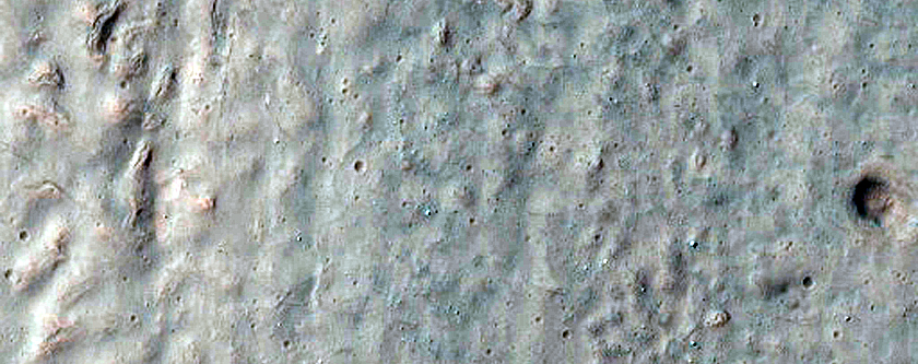 Gully Monitoring