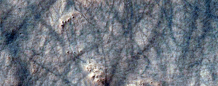 Dune Field