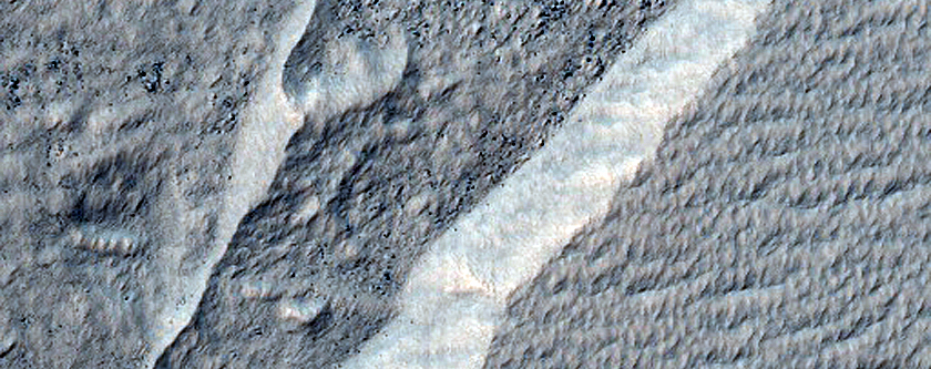 Scarp Monitoring