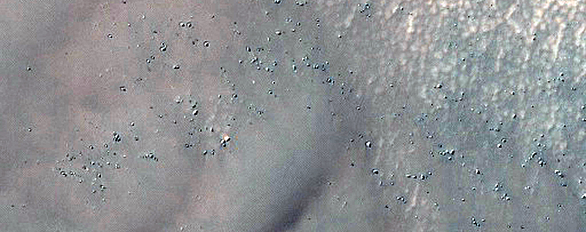 Dune Field