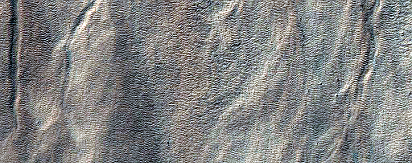 Gully Monitoring