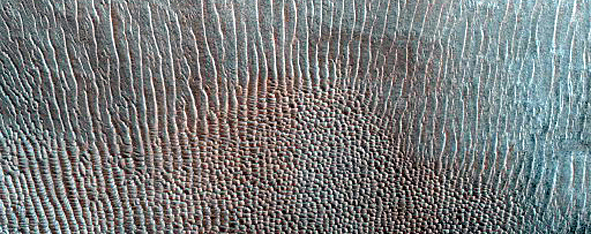 Dune Monitoring in Crater