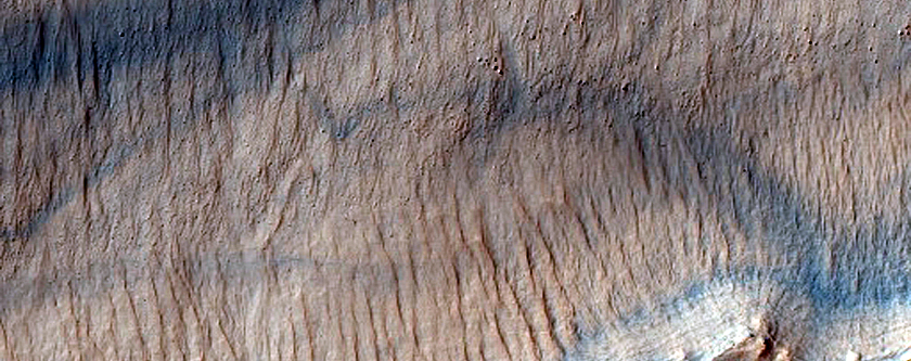 Irregular Cellular Structures around Crater in Southern Mid-Latitudes