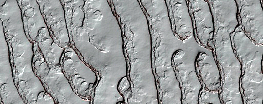 South Polar Residual Cap Site