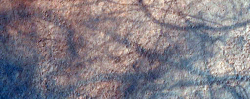 Dune Survey
