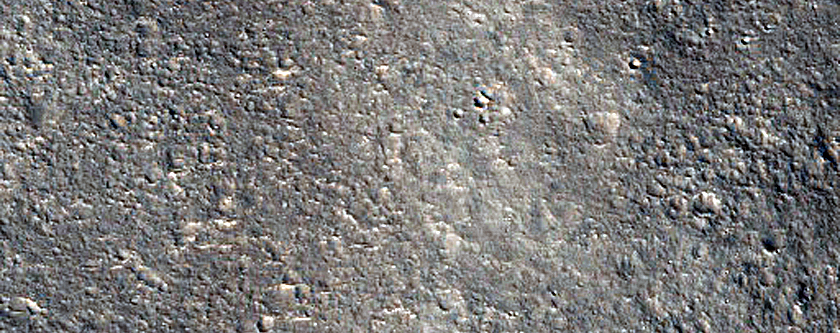 Positve-Relief Feature in Nepenthes Planum