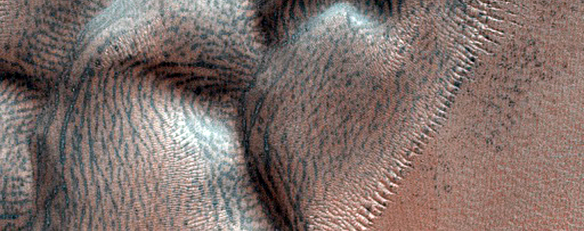 Dune Monitoring in Crater