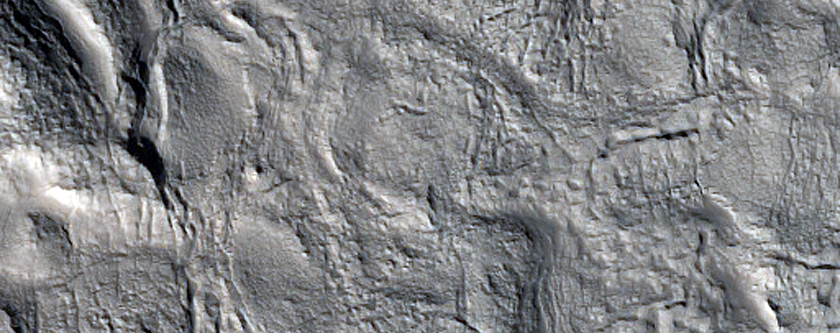 Irregular Cellular Structures around Crater in Arabia Terra