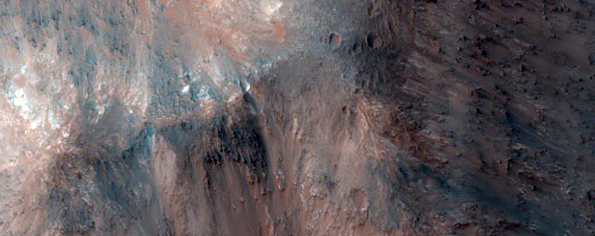 Central Roddy Crater Floor