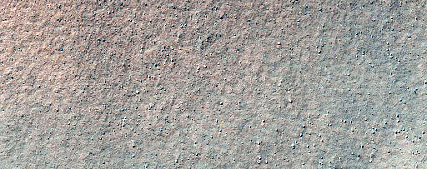 Dust-Rich Ice-Flows