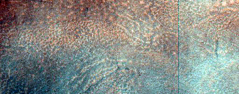 Gullies in Elath Crater