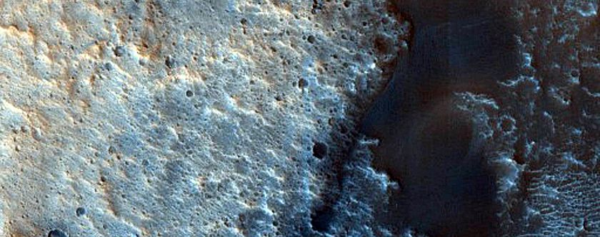 Dune Survey