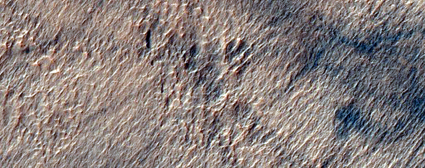 Degraded Irregular Cellular Structures