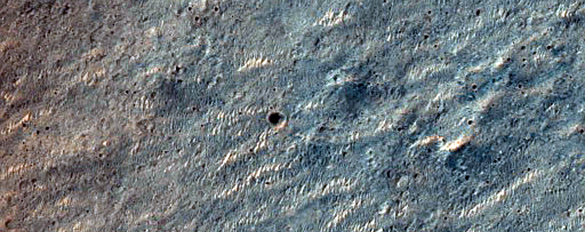 Terrain Sample