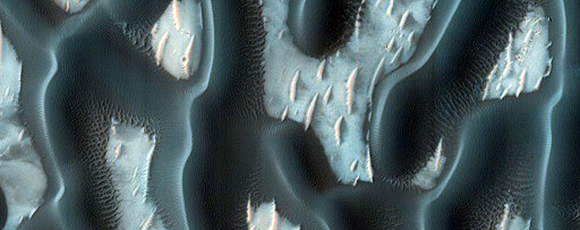 Dune Survey