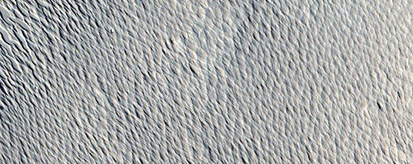 Candidate Recent Impact Site