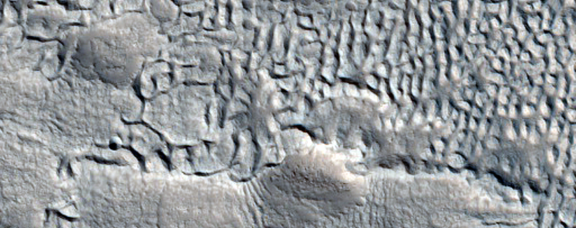 Irregular Cellular Structures around Crater in Arabia Terra