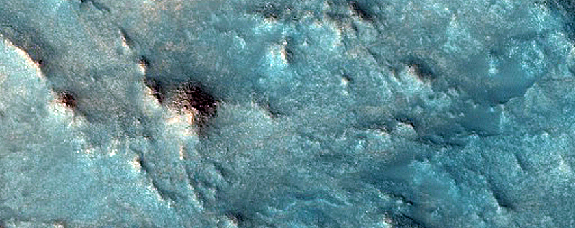 Nilosyrtis Region
