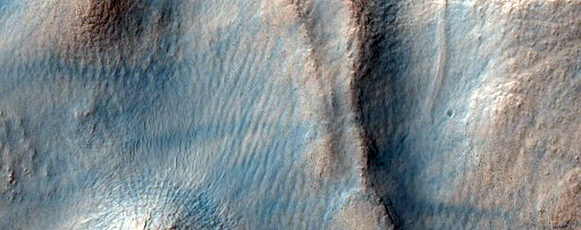 Irregular Cellular Structures around Crater in Southern Mid-Latitudes