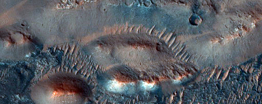 Lobo Vallis Dune Monitoring