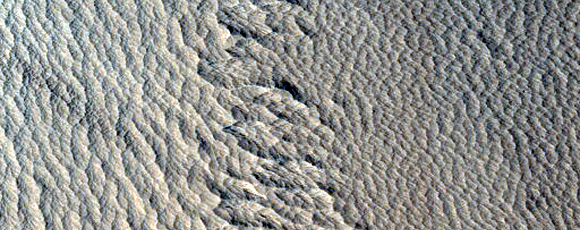 Daedalia Planum