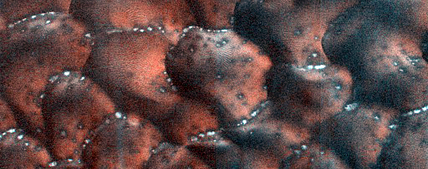 Dune Monitoring in Crater
