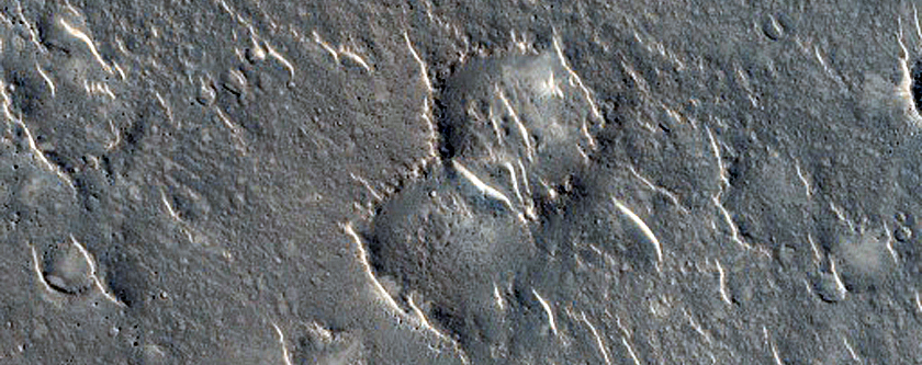 Isidis Planitia