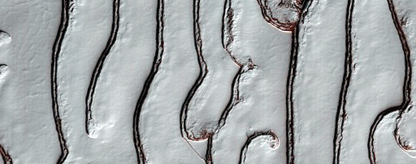 South Polar Residual Cap Site