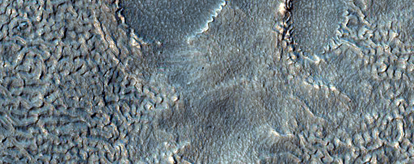 Irregular Cellular Structures around Crater in Southern Mid-Latitudes